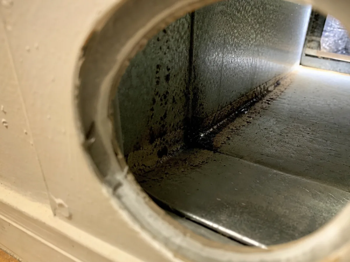 Air Duct Mold Removal in San Rafael, CA